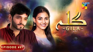 Gila Episode 01  Wahaj Ali  Anzela Abbasi  Best Pakistani Serial  HUM TV [upl. by Haerdna377]