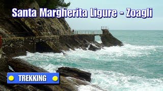 TREKKING Santa Margherita Ligure  Zoagli  Con ilrifugiotrekking  di Sergio Colombini [upl. by Noiztneb86]