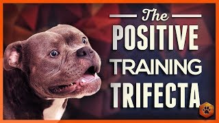 How to Teach Your Dog to Listen With the Positive Training Trifecta [upl. by Dlorah]