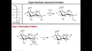 Lec10  Alkylation and Acetylation of Sugars [upl. by Canter227]