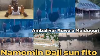 Namomin Daji kada jimina da dai sauran su a ambaliyar Ruwa Maiduguri SubhanAllah Allah yakawo sauki [upl. by Colbye426]