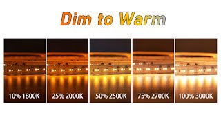 1800K  3000K Dim to Warm LED Strip  Super Lighitng LED [upl. by Fadil179]