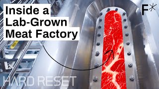 Largescale labgrown meat Step inside a cultivated meat factory  Hard Reset [upl. by Caitrin]