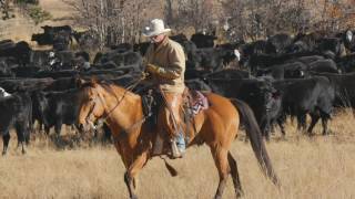 John Moore Horse amp Cattle Course USA [upl. by Roch741]