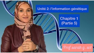 Unité 2chapitre 1 partie 5 ADN nucléotide histone [upl. by Goodspeed71]