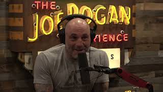 Joe Rogan Experience 1810  Remi Warren [upl. by Walliw132]