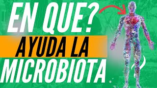 Que Es La Microbiota Y Para Que Nos Sirve [upl. by Ahseiyn]