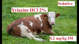 Easy way to understand the NH3 with HCl Titration [upl. by Kcirrek982]