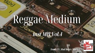 Reggae Medium Inst Mix Vol4 Teach Fr Mad Berry Market [upl. by Adnamar389]