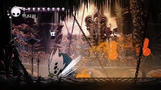 Hollow Knight  God Tamer Radiant difficulty Hitless  All Radiant Bosses [upl. by Eidnac]