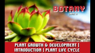 Plant Growth amp Development  Introduction  Plant Life Cycle  Growth Stages Of A Plant  Section 1 [upl. by Oimetra]