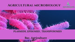 Plasmids Episomes Transposons Best explanation in hindi and english [upl. by Flita]