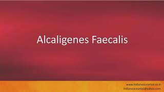 Pronunciation of the words quotAlcaligenes Faecalisquot [upl. by Aicilyhp]