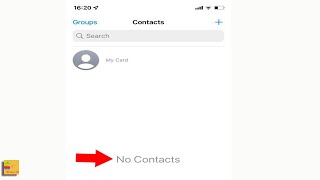 iPhone Contacts Disappeared  All Contacts  How to Bring it Back [upl. by Aitsirk]