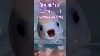 大切な金魚が病気になりましたgoldfish dropsy 松かさ病 えみこのおうち アクアリウム ミンキー雪ちゃん goldfish 金魚 [upl. by Ahtis437]