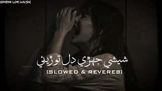 Sheshy Jehri Dil Slowed amp Reverb  Sindhi Slowed Songs  Sindhi Sad Songs  Sindhi Lofi Music [upl. by Luisa]