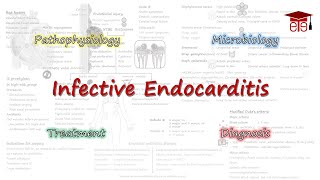 Infective Endocarditis  Pathophysiology Microbiology Clinical Features Diagnosis and Treatment [upl. by Mercy]