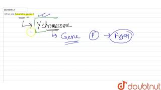 What are holandric genes [upl. by Sandry]