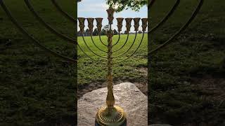 The Hanukkah Menorah judaica [upl. by Nyre]