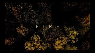 The Sages  Fire Official Video [upl. by Anole]