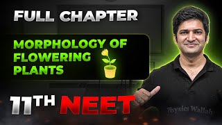 Morphology of Flowering Plants FULL CHAPTER  Class 11th Botany  Arjuna NEET [upl. by Vaasta765]