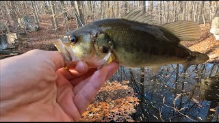 Late Fall fishing in my favorite spot [upl. by Ashelman]