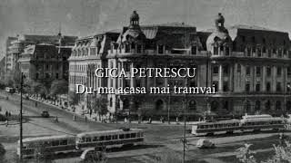 Gica Petrescu  Duma acasa mai tramvai lyrics versuri karaoke [upl. by Turner274]