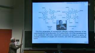 38 Review Synthesis of Cortisone [upl. by Ani]