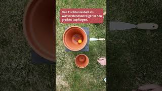 DIY Olla Pflanzenbewässerung basteln [upl. by Sehguh]