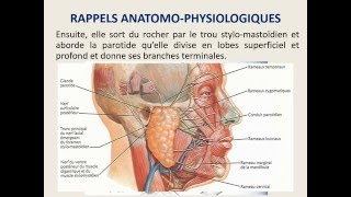 ORL Diagnostic d’une paralysie faciale périphérique 2 [upl. by Mitzl869]