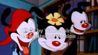 Animaniacs Chalkboard Bungle scene Original AudioFlipped [upl. by Pineda347]