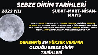 bu tarihleri kaçırmayın I ay takvimine göre en verimli sebze dikim zamanları 2023 yılı [upl. by Oakley328]