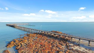 Diving at Moonta Bay in the Clearest Conditions Underwater Footage Relaxation [upl. by Relyks874]