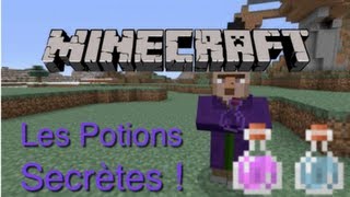 Minecraft Les potions secrètes et cheatées TUTO [upl. by Ehcnalb]