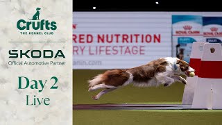 Day 2 LIVE  Crufts 2024 [upl. by Ennayr]