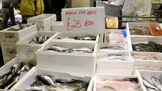 Billingsgate Fish Market  Star to Fall as background music [upl. by Nitsug]