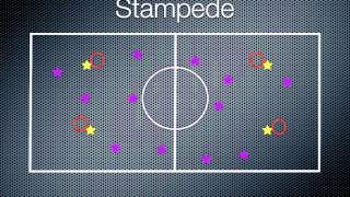 Gym Games  Stampede [upl. by Demahom]