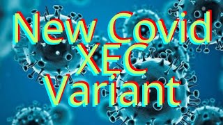 What Is The New Covid XEC Variant How To Stop Covid 19 Will Covid End covidxec covidxecvariant [upl. by Granoff]