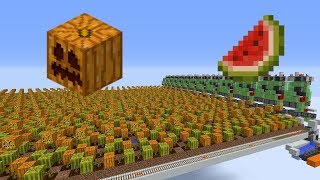 Cheap Large Scale MelonPumpkin Farm [upl. by Ursola]