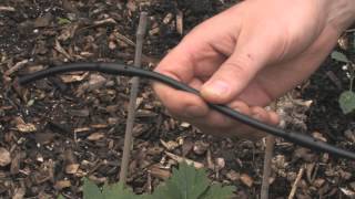 Drip Irrigation Basics [upl. by Nosredna]