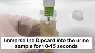 DOA Rapid Test Dipcard Urine [upl. by Oisorbma]