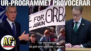 Tvprogrammet får Ungern att rasa – Billström varnas om Nato [upl. by Roye]