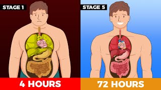 What happens to your body while Fasting  The 5 stages of Fasting [upl. by Derfiniw]