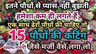 ढेरों पौधे फ्री में चाहिए तो 15 पौधों की कटिंग जैसे मर्जी लगा लोcostly plants grow by cutting fast [upl. by Durer]