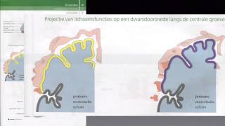 Examentraining H5 Zenuwstelsel [upl. by Barbra]