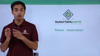 Class 11th – Flower – Aestivation  Morphology of Flowering Plants  Tutorials Point [upl. by Aanas]