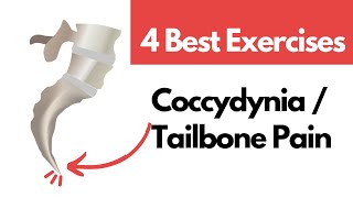 4 Best Coccyx pain exercises Tailbone Pain Exercises in Hindi [upl. by Oinotla]