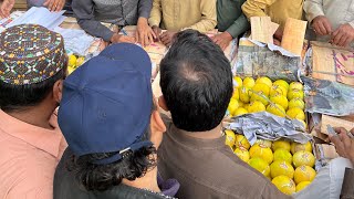 Kharbooza ki nilami 🍈Multan mandi 10march [upl. by Lias]