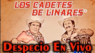 Desprecio  Los Cadetes de Linares  En Vivo Por El Primito Victor [upl. by Ailecec]