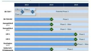 2013 HIV AIDS quotFunctional Curequot Conference Update 1 Sangamo BioSciences Inc [upl. by Hairem]